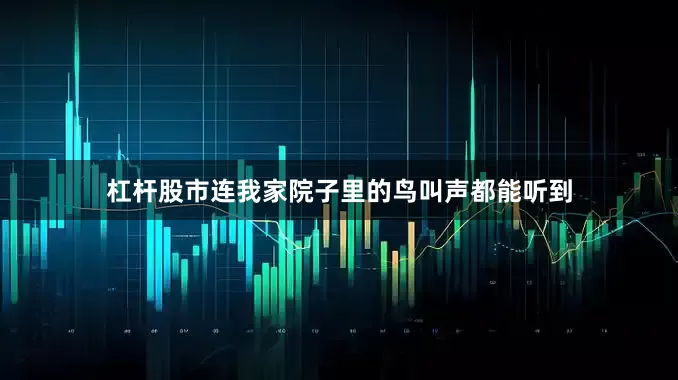 杠杆股市连我家院子里的鸟叫声都能听到