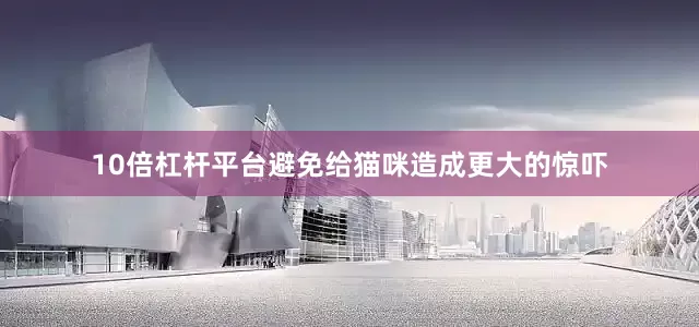 10倍杠杆平台避免给猫咪造成更大的惊吓